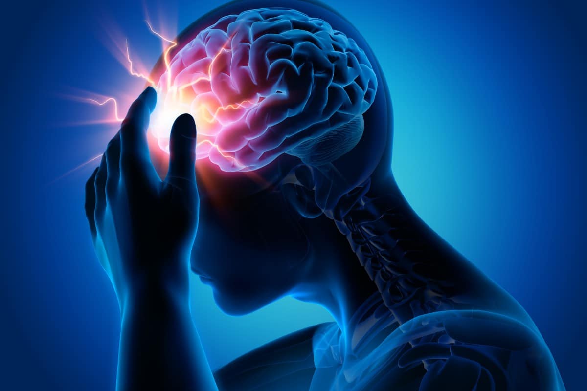 Brain & Memory