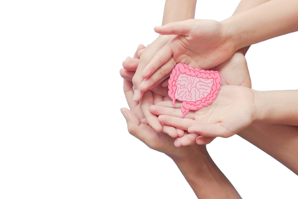 Heart & Immunity